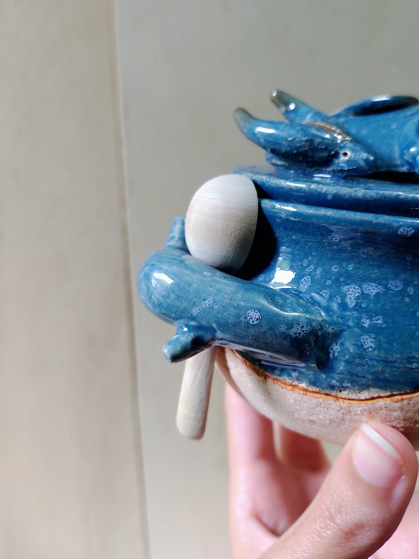 Pote especial Temolda Dragão dorminhoco - Fogo | Temolda